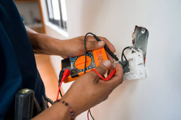 Best Home Electrical Repair  in Caseyvle, IL