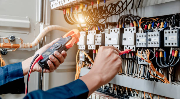 Best Electrical System Inspection  in Caseyvle, IL